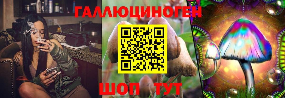 Нальчик  Галлюциногенные грибы мухоморы  Вход с VPN 