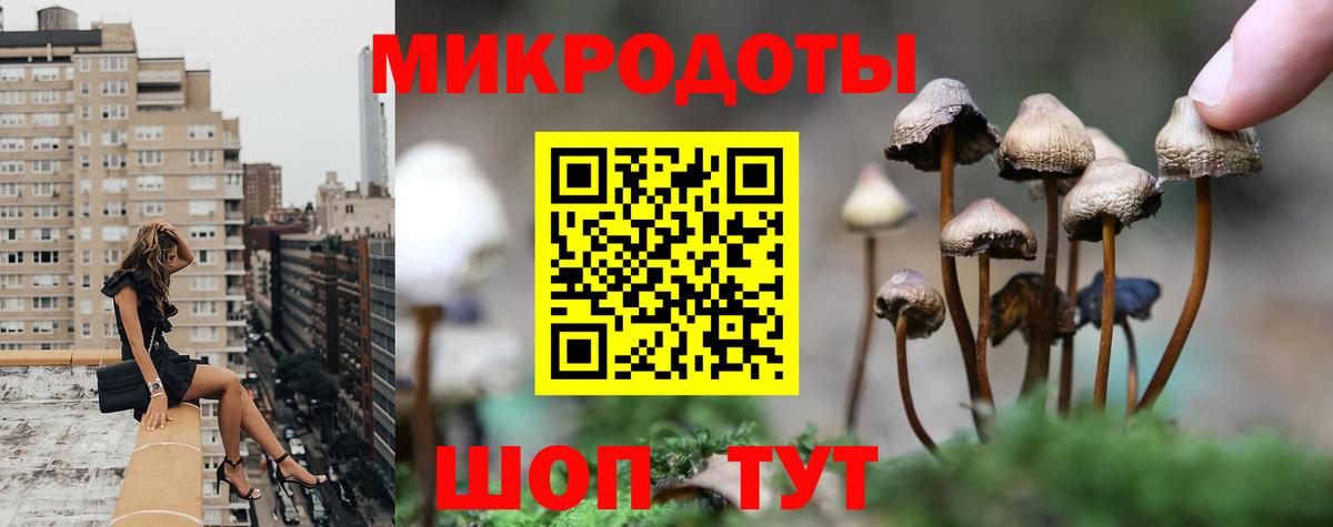 Галлюциногенные грибы MAGIC MUSHROOMS Нальчик