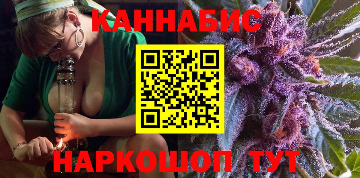 Конопля гибрид Нальчик